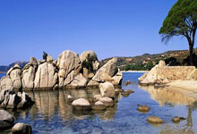 开云- G2观众热烈欢呼！，内马尔迎来七赛季出色发挥热度持续攀升